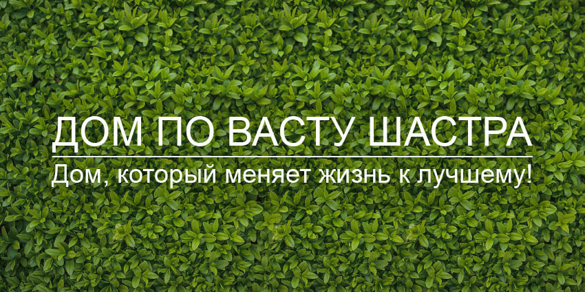 Дом по Васту Шастра в Тамбове Дом по Васту Шастра в Тамбове